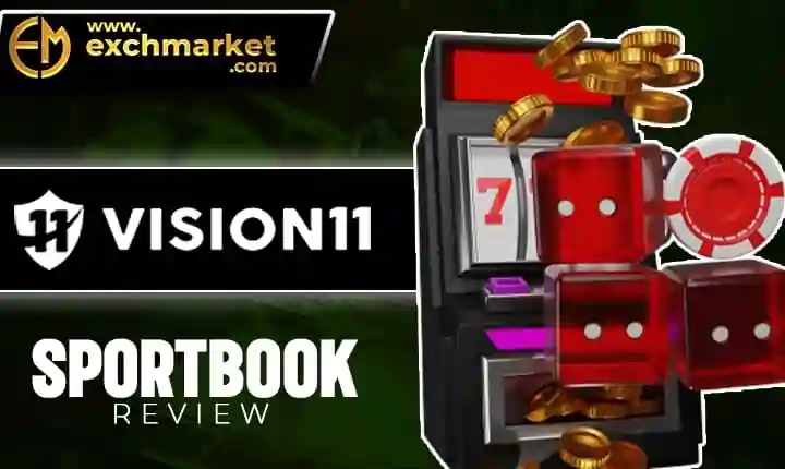 Vision11 review