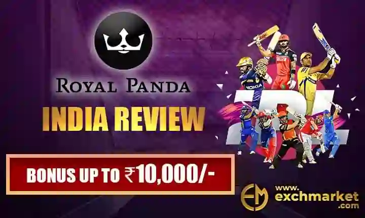 Royal Panda review